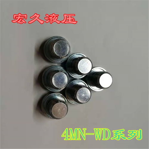 批發(fā)英制螺絲膠墊ed密封內(nèi)六角堵頭規(guī)格g1 8伊頓型號4bn 02wd