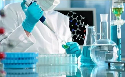 園區企業領航材料科學，國家重點研發項目5930萬經費助推科技創新