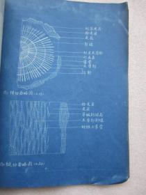 云南蘿芙木研究的材料科學價值探析——基于檔案文獻與實物標本的整理研究